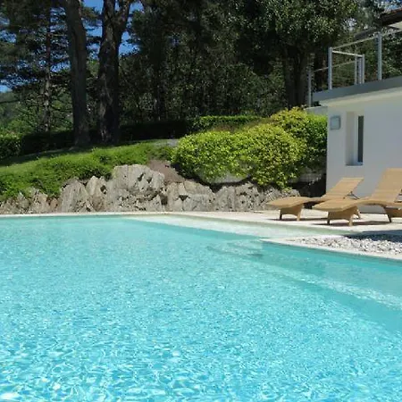 Violetta Villa